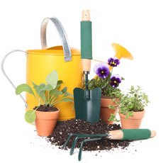 Gardening