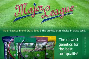 Lawn Grass Seed