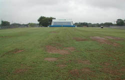 Aerateor and soil conditioner liquid lawn aerator Example