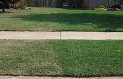 Aerateor and soil conditioner liquid lawn aerator Example