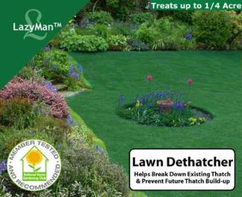 Liquid Lawn Dethatcher