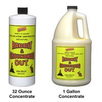 Organic Groundhog Repellent