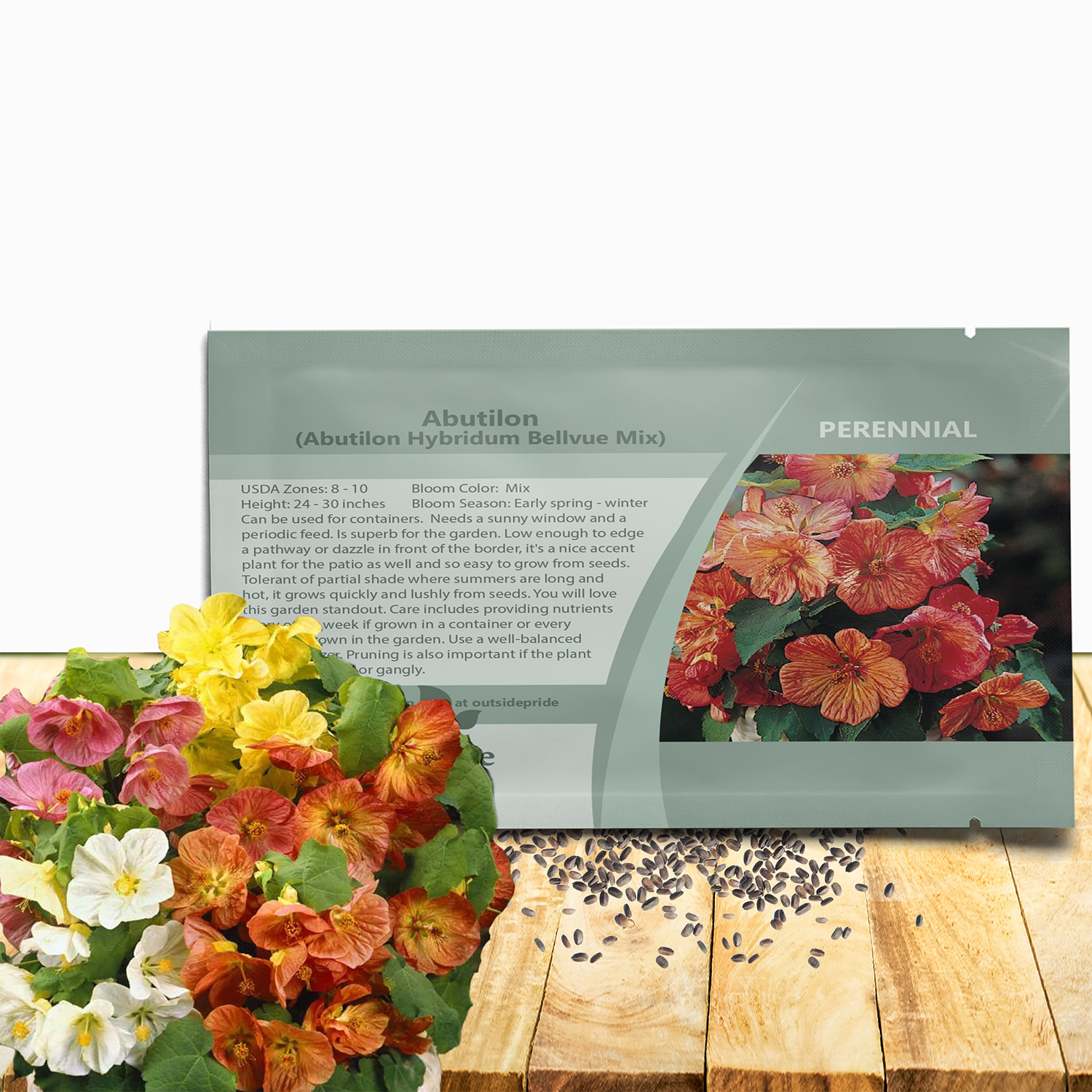 Abutilon Flower Seed Packet For Planting