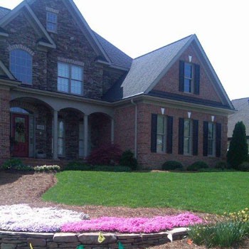 Combat Southern Grass Seed