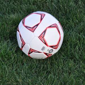 OSP Rye Grass Seed