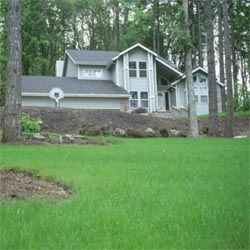 Showtime Grass Seed Mixture