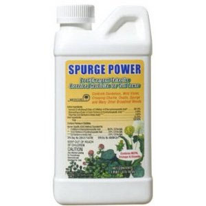 Spurge Power