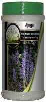 Ajuga Bottle