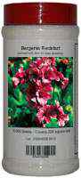 Bergenia Bottle
