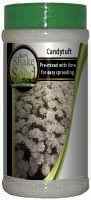 Candytuft Bottle