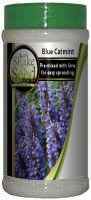 Catmint Blue Bottle