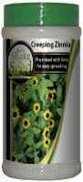 Creeping Zinnia Bottle