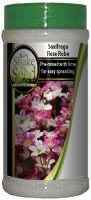 Saxifraga Bottle