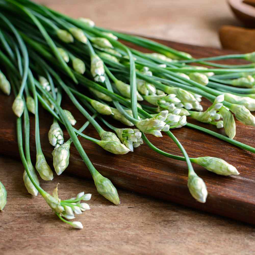 Chives Seed Garlic Chives Herb Seeds