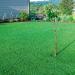 Miniclover Grass Lawn