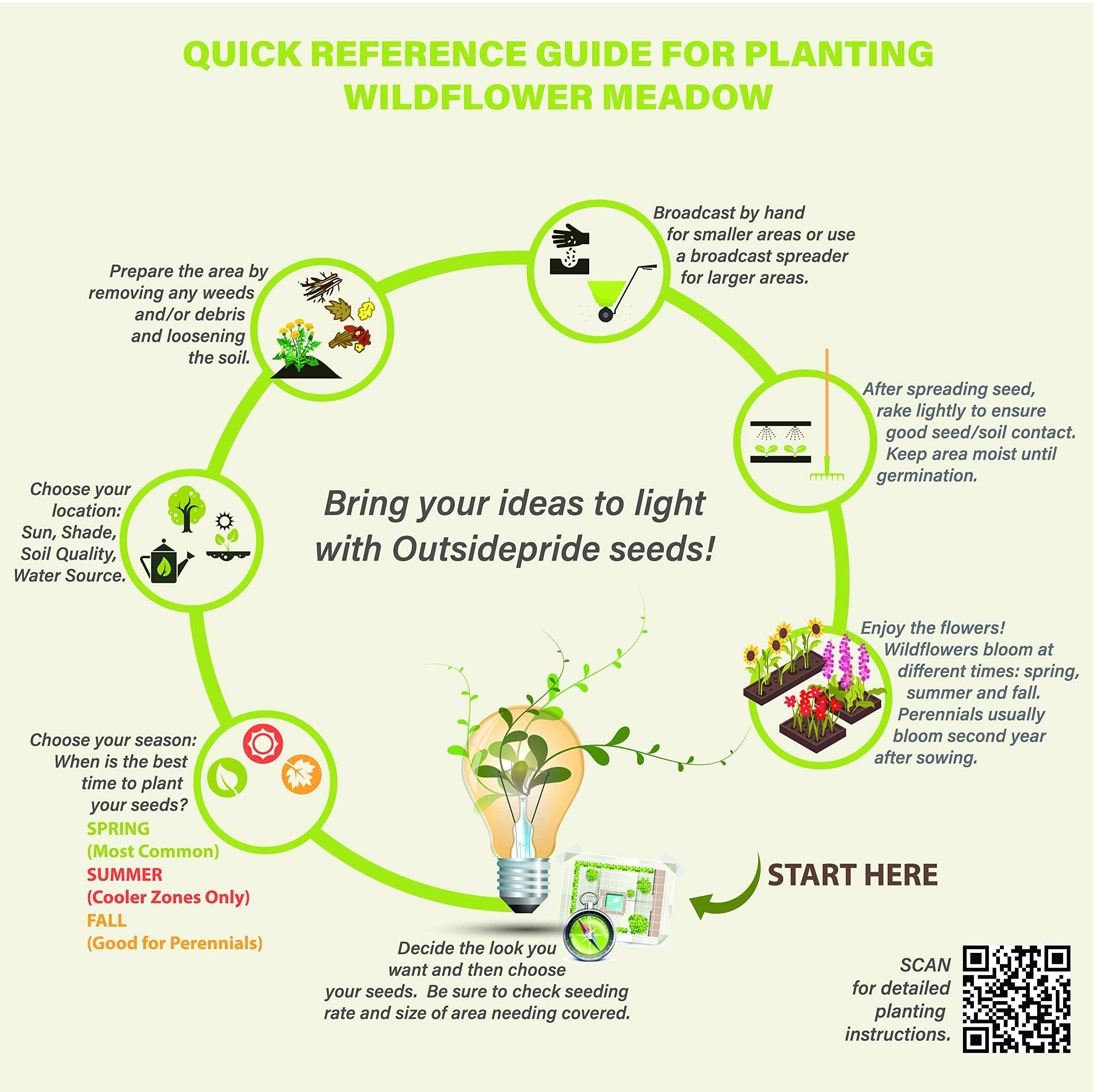 Wildflower Meadowow Planting Guide