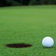 Putting Green Fertilizer