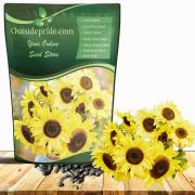 Lemon Queen
Sunflower Seed