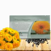 Giant Sunflower Seed
