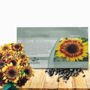 Joker Sunflower Seed
