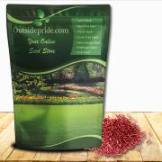 Creeping Red Fescue Grass Image