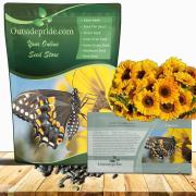 Wild
Sunflower Seed