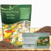 Iceland Poppy Seed