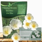 California Poppy White
