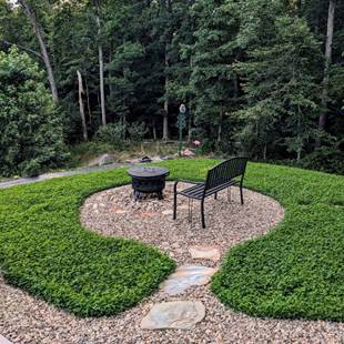 A bench in a garden

AI-generated content may be incorrect.