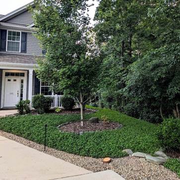 A house with a lawn and trees

AI-generated content may be incorrect.