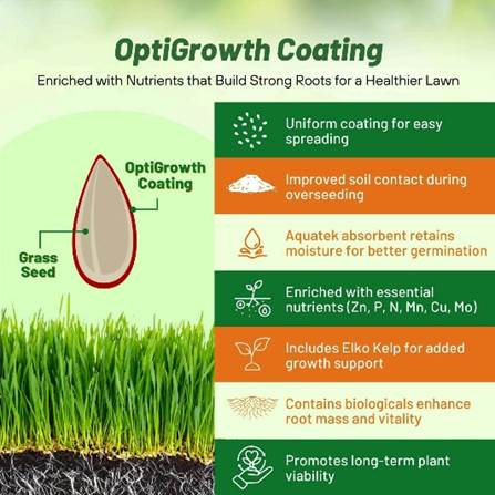 A diagram of a seedling

AI-generated content may be incorrect.