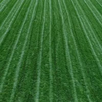 A green field with lines in it

AI-generated content may be incorrect.