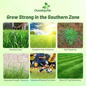 Combat Drought Tolerant Grass