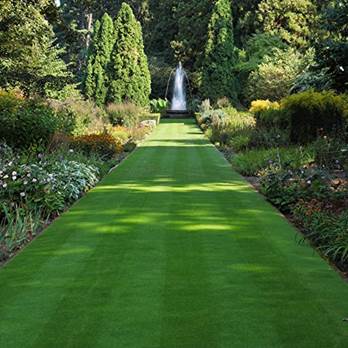 A long green path with a fountain in the middle

AI-generated content may be incorrect.