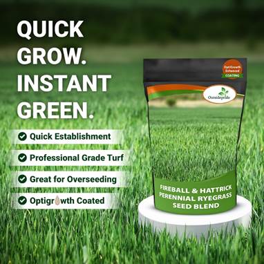 A bag of grass seed blend

AI-generated content may be incorrect.