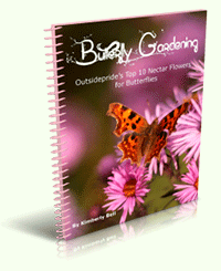 Butterfly Gardening