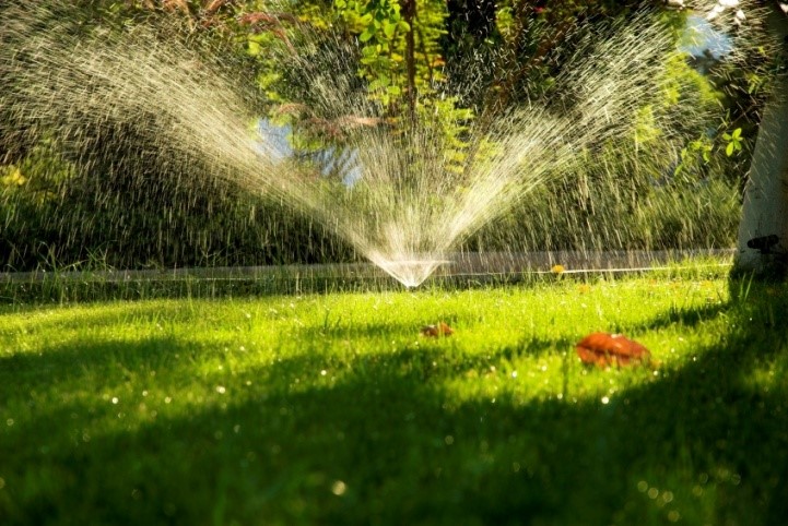 Lawn Renovation