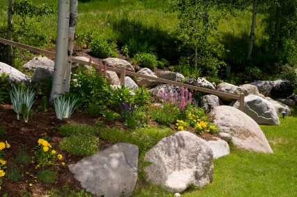 Rock Garden Tips