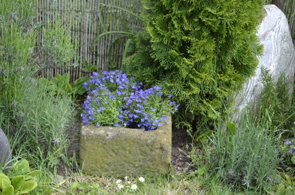 Trough Garden