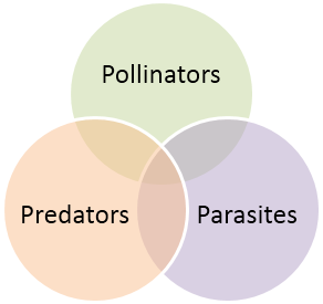 pollinators-predators-parasites