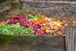 Composting Pile