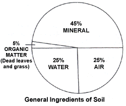 General Soil Ingredients
