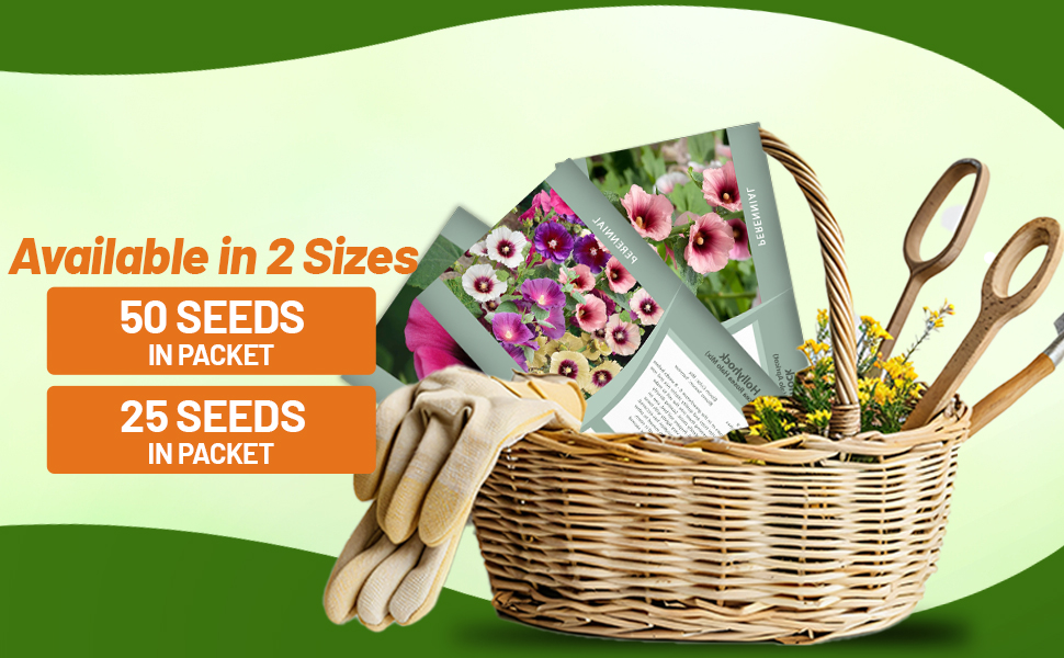 Halo Hollyhock Flower Seed Packets For Sale