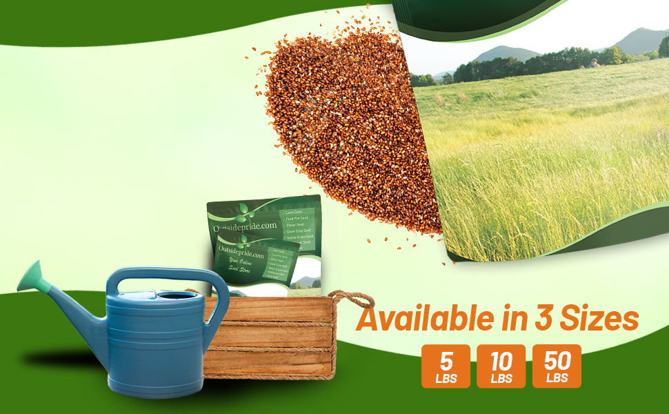 Bulk Teff Seed Bags For Sale & Planting