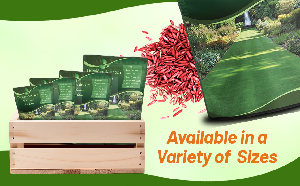 Legacy Fine Fescue Lawn Grass Seed Mixture