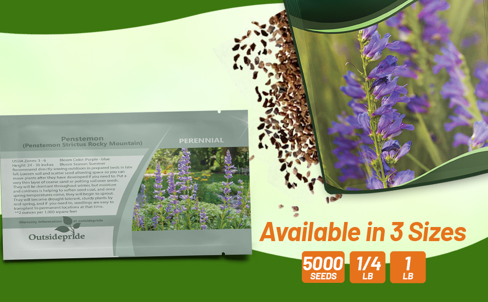 Rocky Mountain Penstemon Wildflower Seed For Sale