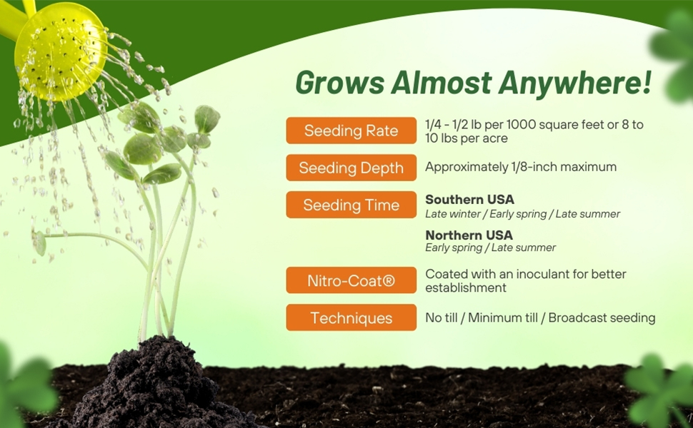 White Dutch Clover Seed Rating