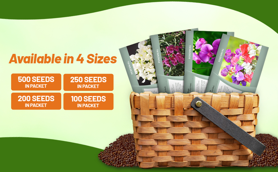 Perennial Lathyrus Sweet Peas Flower Seed Packets