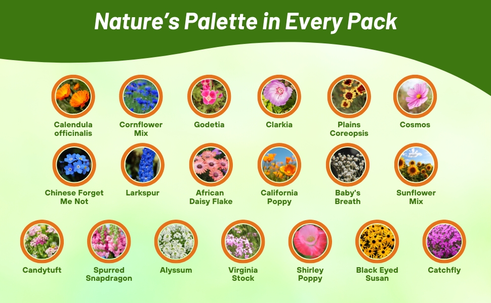 Flower Varieties in Annual Sun Wildflower Seed Mixture