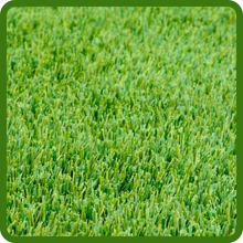 Soft & Fine Texture Perennial Ryegrass Lawn Seed
